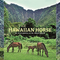 TheHawaiianHorseMarch2017